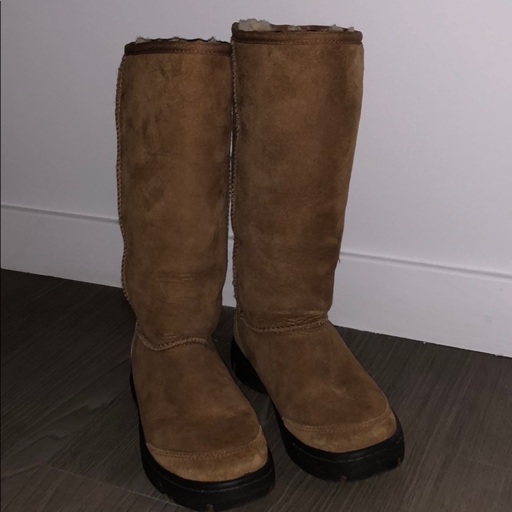 Tall Chestnut UGGs (Lightly Used)